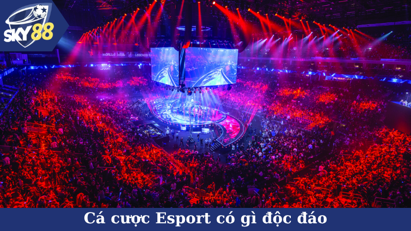 Cá cược Esport có gì độc đáo