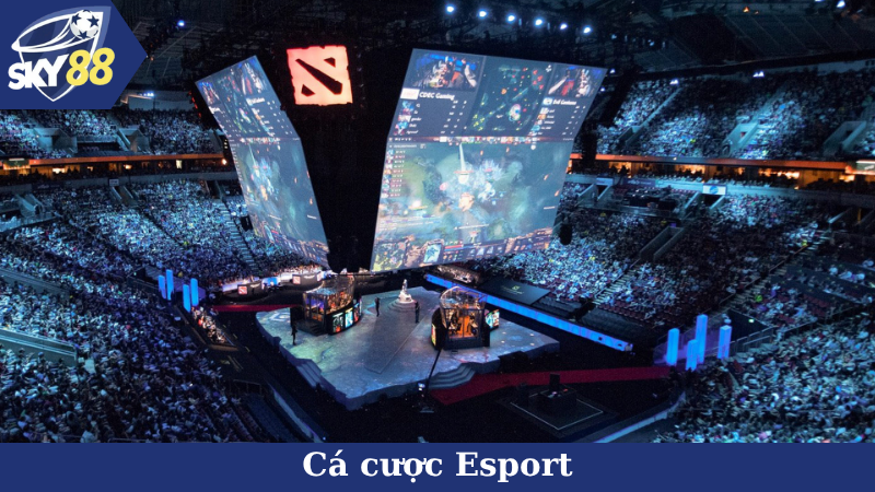 Cá cược Esport