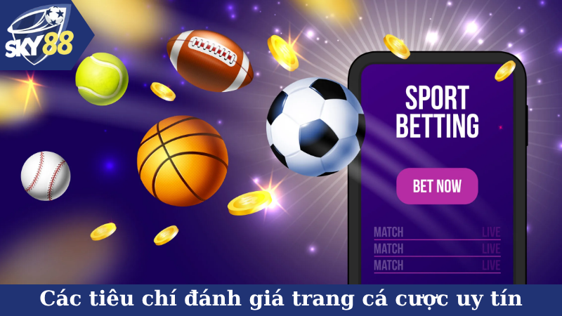 Các tiêu chí đánh giá chính xác trang cá cược uy tín