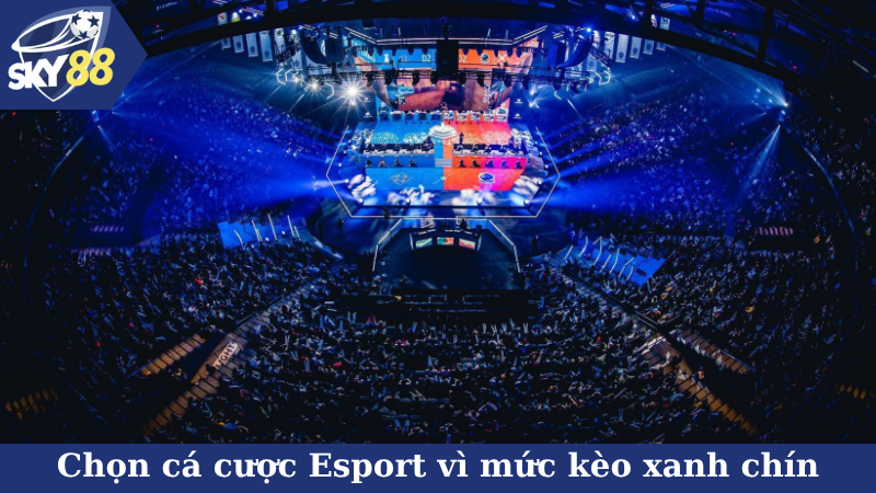 Chọn cá cược Esport trực tuyến vì mức kèo xanh chín vô cùng