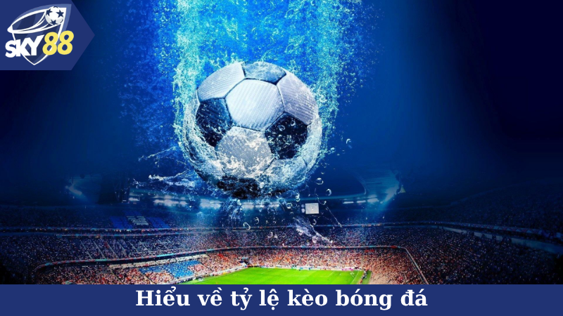 Hiểu về tỷ lệ kèo bóng đá