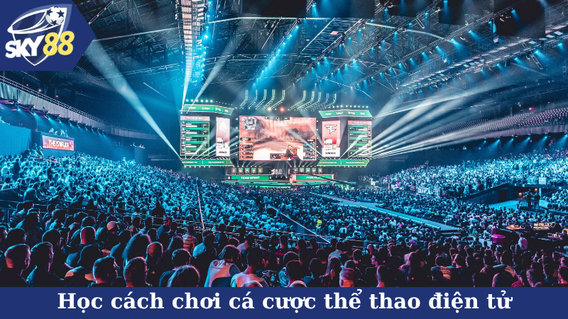 Học cách chơi cá cược thể thao điện tử chuẩn chỉnh