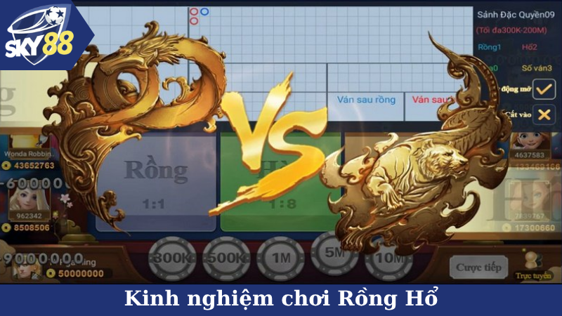 Kinh nghiệm chơi Rồng Hổ