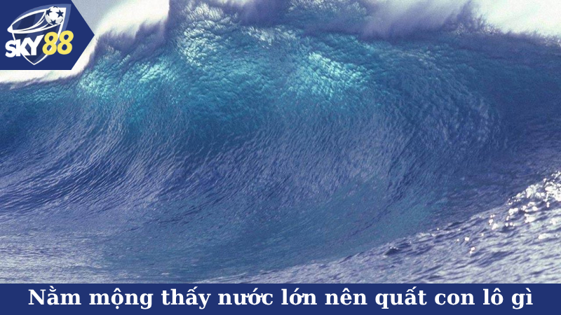 Nằm mộng thấy nước lớn nên quất con lô gì mới phải